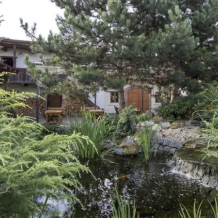 Affittacamere Ve Stoleti 3*