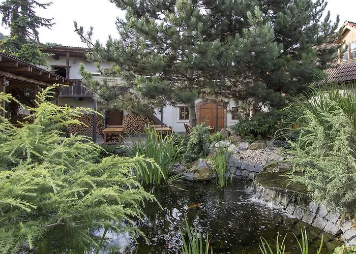 Penzion Ve Stoleti 3*